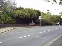 School site 2005