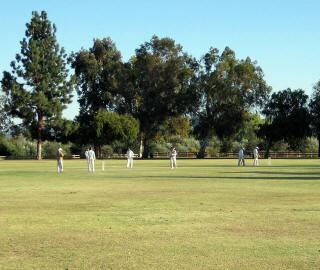 LA cricket