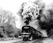 Steam train