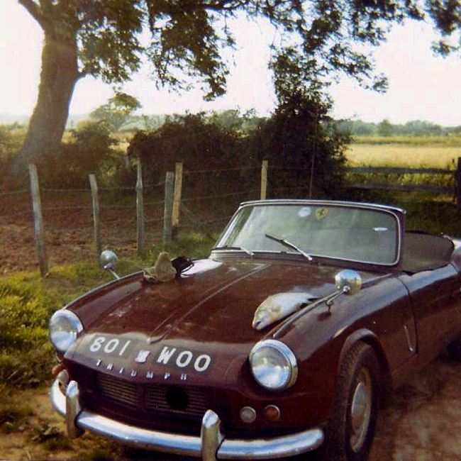 Triumph Spitfire with fish