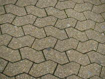 Croydon Trail -  November 2008