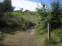 Slope up to Addington Hills