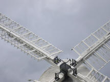 Ruskin Reunion || September 2009 - Green Parakeets on The Mill